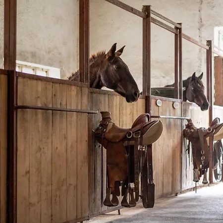 Farm stay Ranc Cerveny Mlyn Lisov (Pilsen)