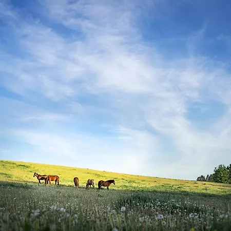 Ranc Cerveny Mlyn Farm stay Lisov (Pilsen)