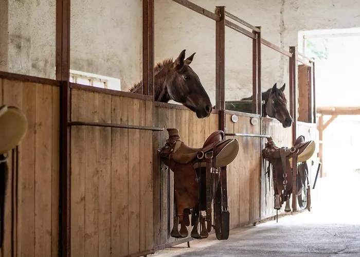 Bauernhof Ranc Cerveny Mlyn Lisov (Pilsen)